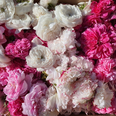 Touch of Roses - set of 2 pieces