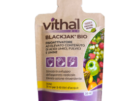 Vithal Blackjak Bio gnojivo 20 ml