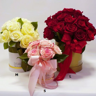 Flores - flower box S