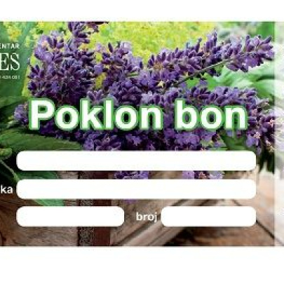 Poklon bon - Ures 100