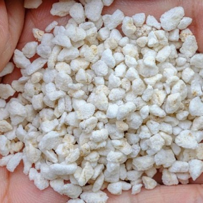Perlite 5 L
